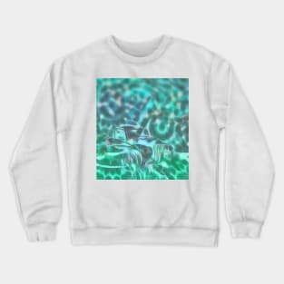 Underwater wreck Crewneck Sweatshirt